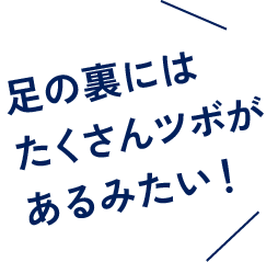 足の裏にはたくさんツボがあるみたい！